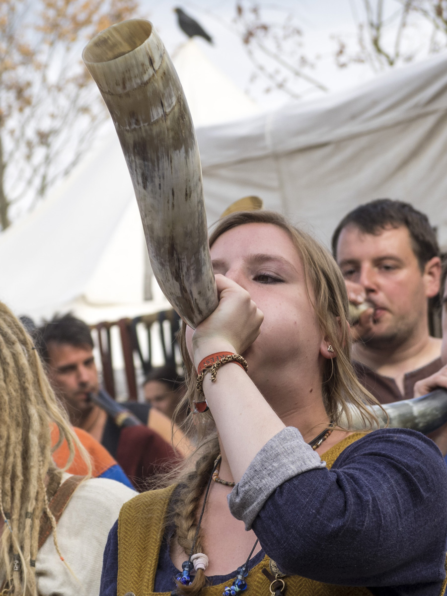 Ritterfest am Schloss Amerang, 15.08.2015