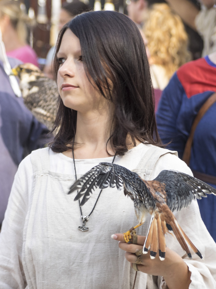 Ritterfest am Schloss Amerang, 15.08.2015