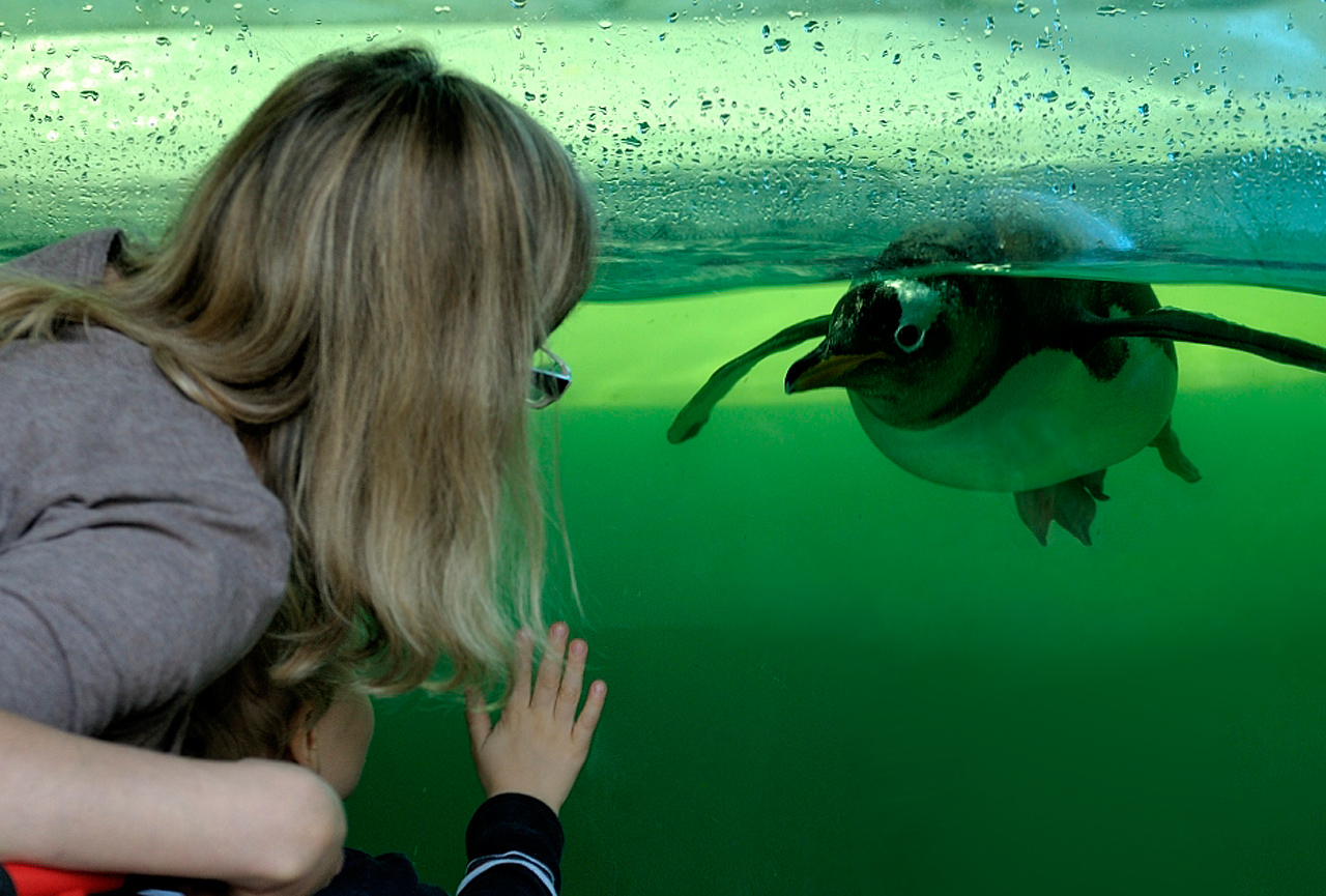 Wer schaut hier wen an?